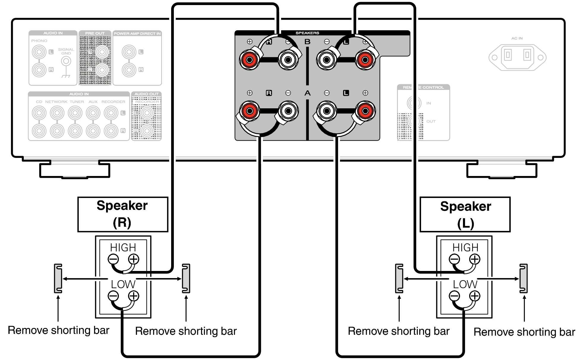 Conne biWiring PM8006